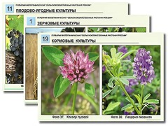Гербарий фотографический "Сельскохозяйственные растения России" - fgospostavki.ru - Петропавловск-Камчатский