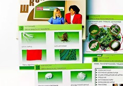 Коллекция "Шелк и продукты его переработки" (средняя школа) - fgospostavki.ru - Петропавловск-Камчатский
