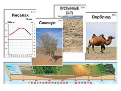Модель-аппликация "Природные зоны" - fgospostavki.ru - Петропавловск-Камчатский