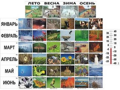 Фенологические наблюдения - fgospostavki.ru - Петропавловск-Камчатский
