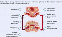 Интерактивные курсы. Биология 9 класс. Расширенный. - fgospostavki.ru - Петропавловск-Камчатский