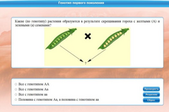 Интерактивные курсы. Биология 11 класс. Базовый. - fgospostavki.ru - Петропавловск-Камчатский