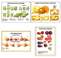 Плакаты ПРОФТЕХ "Ассортимент овощных культур" (12 пл, винил, 70х100) - fgospostavki.ru - Петропавловск-Камчатский