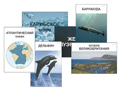 Модель-аппликация "Океаны. Знакомство" (ламинированная) - fgospostavki.ru - Петропавловск-Камчатский