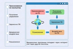 Интерактивные курсы. Информатика 10 класс . Базовый. - fgospostavki.ru - Петропавловск-Камчатский