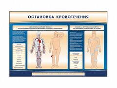 Электрифицированный стенд-тренажер "Остановка кровотечения" - fgospostavki.ru - Петропавловск-Камчатский