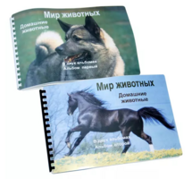Пособие для слабовидящих - Домашние животные - fgospostavki.ru - Петропавловск-Камчатский