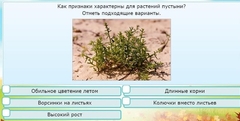 Интерактивные курсы. Окружающий мир 3 класс . Базовый. - fgospostavki.ru - Петропавловск-Камчатский