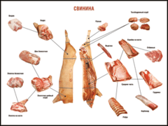 Таблица "Правила разделки мясных туш. Свинина" (100х140 сантиметров. винил) - fgospostavki.ru - Петропавловск-Камчатский