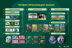 Электрифицированный стенд "Уровни организации жизни" - fgospostavki.ru - Петропавловск-Камчатский