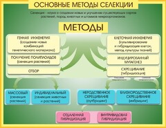 Стенд "Методы селекции и биотехнологии" - fgospostavki.ru - Петропавловск-Камчатский