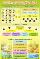 Стенд "Классификация животного мира" - fgospostavki.ru - Петропавловск-Камчатский