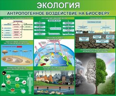 Стенд "Экология. Антропогенное воздействие на биосферу" - fgospostavki.ru - Петропавловск-Камчатский