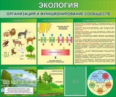 Стенд "Экология. Организация и функционирование сообществ" - fgospostavki.ru - Петропавловск-Камчатский