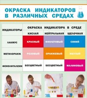 Стенд "Окраска индикаторов в различных средах" - fgospostavki.ru - Петропавловск-Камчатский