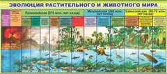 Стенд "Эволюция растительного и животного мира" - fgospostavki.ru - Петропавловск-Камчатский