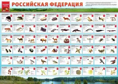 Стенд "Красная книга РФ" - fgospostavki.ru - Петропавловск-Камчатский