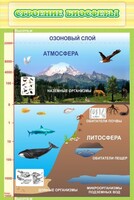 Стенд "Строение биосферы" - fgospostavki.ru - Петропавловск-Камчатский