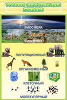 Стенд "Уровни организации живого" - fgospostavki.ru - Петропавловск-Камчатский