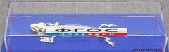 Скелет ящерицы - fgospostavki.ru - Петропавловск-Камчатский