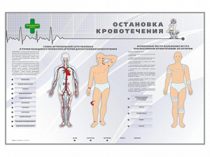 Электрифицированный стенд "Остановка кровотечения" - fgospostavki.ru - Петропавловск-Камчатский