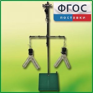 Прибор для демонстрации закона сохранения массы веществ - fgospostavki.ru - Петропавловск-Камчатский