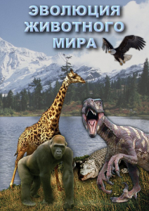 DVD "Эволюция животного мира" - fgospostavki.ru - Петропавловск-Камчатский