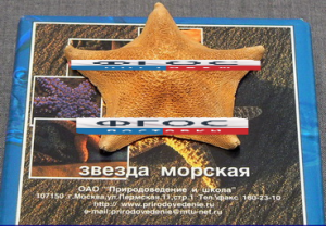 Сухой препарат "Звезда морская" - fgospostavki.ru - Петропавловск-Камчатский