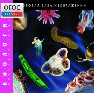 Биология. Микрофотографии. (Цифровая база изображений) - fgospostavki.ru - Петропавловск-Камчатский