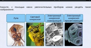 Интерактивные курсы. Биология 5 класс. Расширенный - fgospostavki.ru - Петропавловск-Камчатский