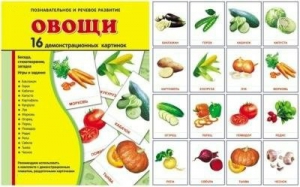 Демонстрационные карточки "Овощи" - fgospostavki.ru - Петропавловск-Камчатский
