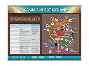 Интерактивный электрифицированный стенд "Эволюция животного мира" - fgospostavki.ru - Петропавловск-Камчатский