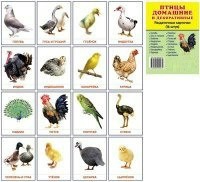 Раздаточные карточки "Птицы домашние и декоративные" - fgospostavki.ru - Петропавловск-Камчатский