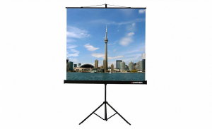 Проекционный экран на штативе Lumien Eco View (LEV-100105) 160x160 см - fgospostavki.ru - Петропавловск-Камчатский