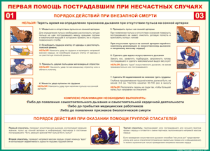 Таблица "Порядок действий при внезапной смерти" (100х140 сантиметров, винил) - fgospostavki.ru - Петропавловск-Камчатский