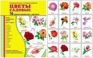 Демонстрационные карточки "Цветы садовые" - fgospostavki.ru - Петропавловск-Камчатский