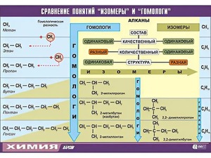 Таблица демонстрационная "Сравнение понятий изомер и гомолог" (винил 70x100) - fgospostavki.ru - Петропавловск-Камчатский