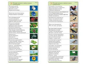 Комплект карточек (10) "Обучающий калейдоскоп. Природа" - fgospostavki.ru - Петропавловск-Камчатский