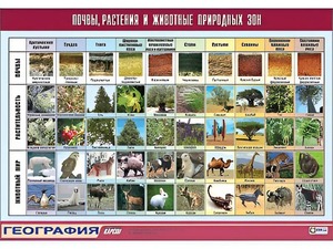 Таблица демонстрационная "Почвы, растения и животные природных зон" (винил 70*100) - fgospostavki.ru - Петропавловск-Камчатский