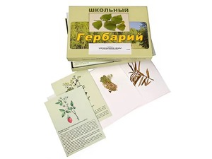 Гербарий "Для начальной школы" (30 видов, с иллюстрациями) - fgospostavki.ru - Петропавловск-Камчатский