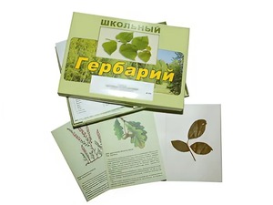Гербарий "Дикорастущие растения" (30 видов, с иллюстрациями) - fgospostavki.ru - Петропавловск-Камчатский