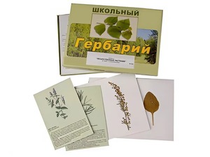 Гербарий "Лекарственные растения" (22 вида с иллюстрациями) - fgospostavki.ru - Петропавловск-Камчатский