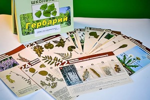 Гербарий к курсу основ общей биологии - fgospostavki.ru - Петропавловск-Камчатский