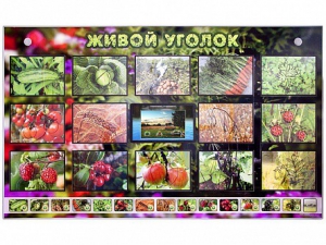Комплект оборудования "Живой уголок" (растения) с тифлопереводом и сурдокомментариями - fgospostavki.ru - Петропавловск-Камчатский