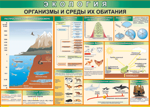 Таблица "Организмы и среды их обитания" (100х140 сантиметров, винил) - fgospostavki.ru - Петропавловск-Камчатский