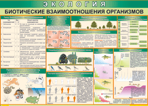 Таблица "Биотические взаимоотношения организмов" (100х140 сантиметров, винил) - fgospostavki.ru - Петропавловск-Камчатский