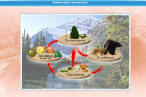 Интерактивные курсы. Биология 7 класс. Базовый. - fgospostavki.ru - Петропавловск-Камчатский