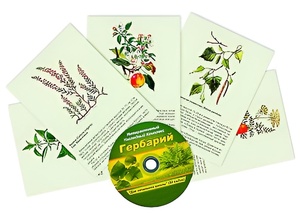 Интерактивный наглядный комплекс "Гербарий "Для начальной школы" - fgospostavki.ru - Петропавловск-Камчатский