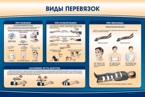 Стенд "Виды перевязок" - fgospostavki.ru - Петропавловск-Камчатский
