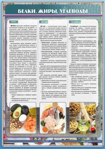 Стенд "Белки. Жиры. Углеводы" - fgospostavki.ru - Петропавловск-Камчатский
